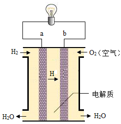 目前,一種新型燃料電池--氫氧燃料電池廣泛運(yùn)用于氫能源汽車。如圖是一種氫氧燃料電池的示意圖,請回答下列問題: