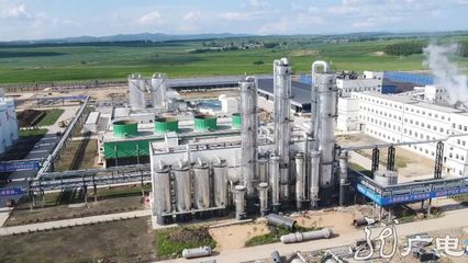 訂單里的黃金周 | 農(nóng)產(chǎn)品深加工企業(yè)開足馬力趕訂單