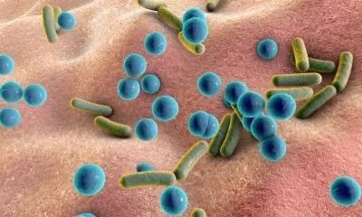 了解皮膚微生物群的重要性,以及5個保護(hù)微生物群的方法